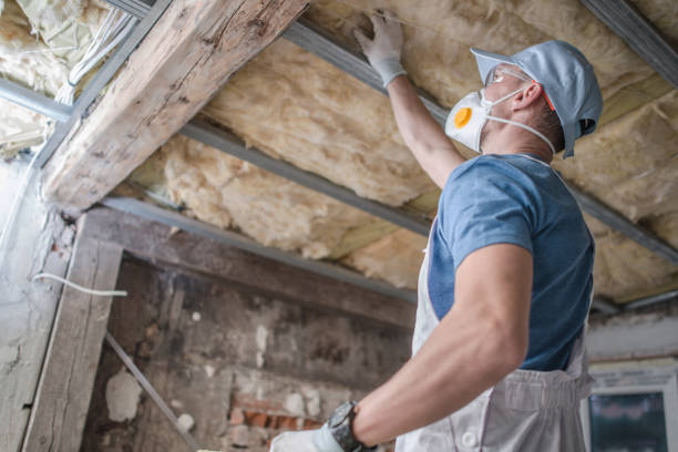 Best Residential Insulation in Quitman, MS