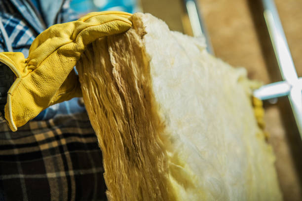 Best Insulation Maintenance and Repair in Quitman, MS