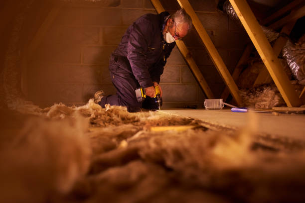 Best Insulation Materials and Products in Quitman, MS
